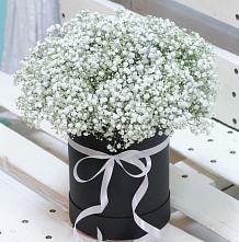 Цветочная композиция из Гипсофила в шляпной коробке #REPLACE_PRED# Большие Ключищи